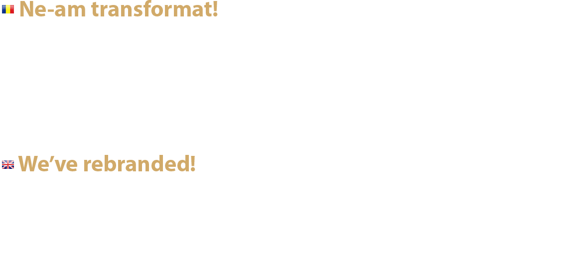 Artifex lab